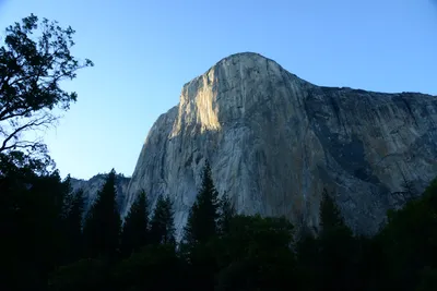 DSC_2456 (Large).JPG